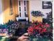 Charming front entrance landscaped with colorful flowers, and inviting accents to enhance curb appeal at 1450 Highfield Dr, Clearwater, FL 33764