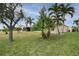 Spacious backyard with lush green grass, mature palm trees, and a view of the screened-in patio at 1648 Mira Lago Cir, Ruskin, FL 33570
