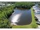 Picturesque pond surrounded by lush trees and well-manicured lawns, creating a serene and inviting natural setting at 284 Hemingway Dr, Oldsmar, FL 34677