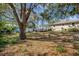 A spacious backyard with mature trees, a shed, and a deck is great for outdoor activities at 4716 Gazania St, New Port Richey, FL 34652