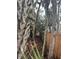 View of backyard surrounded by trees and a wooden fence, showing natural charm at 5218 Winding Way, Sarasota, FL 34242