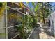 Patio with palm trees, plants, and exterior walkway at 2515 S Ysabella Ave, Tampa, FL 33629