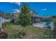 Backyard with a green lawn and a large shade tree near the pool and enclosed porch at 3111 Teal Ter, Safety Harbor, FL 34695
