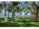Picturesque waterfront view with lush green lawn, shady trees, and picnic benches, creating a serene environment at 3111 Teal Ter, Safety Harbor, FL 34695