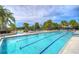 This large lap pool is perfect for exercise and recreation with ample seating and lush landscaping all around at 5703 Colony Glen Rd, Lithia, FL 33547