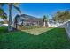 Expansive backyard featuring lush green grass, mature palm trees, and a screened-in pool area, perfect for outdoor enjoyment at 632 Addison Ne Dr, St Petersburg, FL 33716