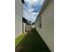 A narrow side yard featuring green grass, a white fence for privacy, and access to the backyard at 1556 N River Cir, Tarpon Springs, FL 34689