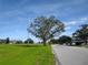 Charming neighborhood street view with mature trees and lush green spaces at 2340 Grecian Way # 14, Clearwater, FL 33763