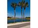 Palm trees dot the golf course on the water with a bridge and golfers at 2617 Cove Cay Dr # 710, Clearwater, FL 33760