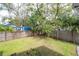 Private fenced backyard featuring a shade tree and well-maintained lawn at 311 W Chelsea St, Tampa, FL 33603