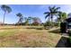 Expansive backyard with lush green grass and mature trees, perfect for outdoor activities at 4617 Cloverlawn Dr, Tampa, FL 33624