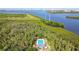 Aerial shot showcases community pool, cabana, and lush greenery near the water, offering a serene setting at 520 Wheaton Trent Pl, Tampa, FL 33619