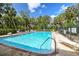 Enjoy this sparkling blue community pool surrounded by lounge chairs and lush tropical landscaping at 520 Wheaton Trent Pl, Tampa, FL 33619