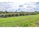 Beautifully maintained backyard featuring lush green grass and manicured landscaping at 8435 Ocean Tides Cv, Parrish, FL 34219