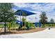 Vibrant playground area with colorful play structures, slides, and ample space for children to play and explore at 10410 Cross River Trl, Parrish, FL 34219