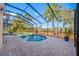 This screened-in pool with patio and tropical landscaping offers a relaxing outdoor retreat at 10627 Hatteras Dr, Tampa, FL 33615