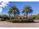 Charming clubhouse exterior with symmetrical palm trees, colorful landscaping, and a roundabout driveway at 11257 Egeria Dr, Odessa, FL 33556