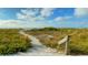 Sandy path to the beach with lush vegetation and clear blue skies at 1400 Gulf Blvd # 204, Clearwater Beach, FL 33767
