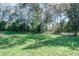 View of fenced backyard with mature trees at 4037 Auston Way, Palm Harbor, FL 34685