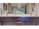 Contemporary bathroom vanity with dual sinks, modern faucets, and unique decorative items at 146 4Th Ne Ave # 204, St Petersburg, FL 33701