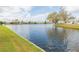 Picturesque lake view from the property, surrounded by lush greenery and neighboring homes at 1816 N Pebble Beach Blvd, Sun City Center, FL 33573