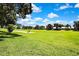 Wide angle of the expansive green lawn with trees on the horizon, adjacent to the home at 18951 Grand Club Dr, Hudson, FL 34667