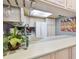 Bright kitchen with ample counter space and modern appliances at 20890 Negril Ct # 5, Lutz, FL 33558