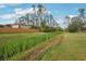 Large backyard featuring green space, canal, and fence; perfect for outdoor activities at 3655 Candia Ave, North Port, FL 34286