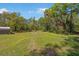 Expansive backyard featuring lush greenery, mature trees, and a serene outdoor space at 14206 Walden Sheffield Rd, Dover, FL 33527