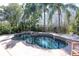 This pool is surrounded by tropical landscaping at 18908 Nest Fern Cir, Tampa, FL 33647