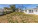 Green backyard with a partial view of the house and fence in the background at 4208 Woodfield Ave, Holiday, FL 34691