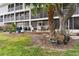 View of back patios of units from yard with mature palm, patio furniture visible on decks at 9770 Indian Key Trl # 102, Seminole, FL 33776