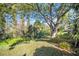 Lush backyard with mature trees at 1434 Glengarry Dr, Palm Harbor, FL 34684