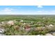 Stunning aerial view showcasing home, the surrounding community, and lush greenery at 15912 Ternglade Dr, Lithia, FL 33547