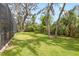 Large fenced-in backyard featuring green grass, mature trees, and landscaping on a sunny day at 15912 Ternglade Dr, Lithia, FL 33547