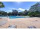 Inviting community pool with a volleyball net, surrounded by lush greenery and lounge chairs for relaxation at 15912 Ternglade Dr, Lithia, FL 33547