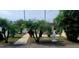 Charming front yard adorned with lush palms, potted plants, and decorative statues at 6213 Sheldon Rd, Tampa, FL 33615