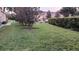 A spacious backyard features lush green grass, mature trees, and access to community amenities at 6359 Timberly Ln, Zephyrhills, FL 33542