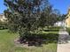 Expansive backyard with mature trees and lush green grass, offering a serene outdoor space at 6359 Timberly Ln, Zephyrhills, FL 33542
