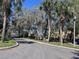 Exterior shot of street featuring a community park and playground, set against a backdrop of townhome buildings at 6359 Timberly Ln, Zephyrhills, FL 33542