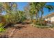 Serene backyard with mulch beds, palm trees, and a lush garden, offering a private and tranquil outdoor retreat at 809 Royal Dr, Largo, FL 33770