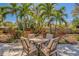 Outdoor patio with a dining table surrounded by lush tropical landscaping and palm trees at 809 Royal Dr, Largo, FL 33770