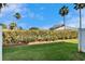 Lush backyard featuring a manicured lawn, mature landscaping, and tall palm trees at 8842 Turnstone Haven Pl, Tampa, FL 33619