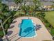 Aerial view of the community pool surrounded by lounge areas, landscaping, and townhomes at 8842 Turnstone Haven Pl, Tampa, FL 33619