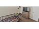 bedroom with a toddler bed, TV, and carpeted floors at 10864 Penny Gale Loop, San Antonio, FL 33576