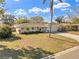 Well-maintained front yard and long driveway leading to a lovely single-story home at 1510 Lakeside Dr, Dunedin, FL 34698