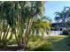 Serene pool area with beautiful palm trees and lush landscaping at 5603 Sycamore N St # 5603, St Petersburg, FL 33703