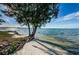 Picturesque sandy beach with trees and sparkling water, offering a peaceful coastal retreat at 6210 Sun Blvd # 408, St Petersburg, FL 33715