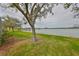Lush green lawn and mature trees in the backyard leading to a tranquil lake, showcasing a serene outdoor setting at 827 Seminole Sky Dr, Ruskin, FL 33570