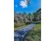 Lush backyard area with green grass, mature trees, and a walking path at 1182 Pine Ridge W Cir # B1, Tarpon Springs, FL 34688
